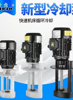 雷宝DBAB-25JCB22尼龙塑料泵壳耐腐蚀机床冷却水泵磨床三相电油泵