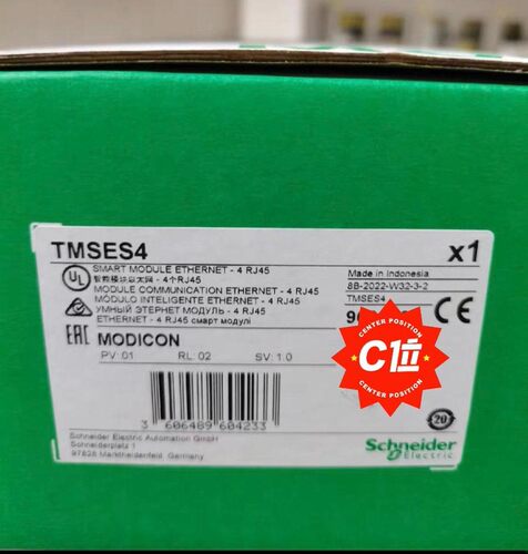TMSES4