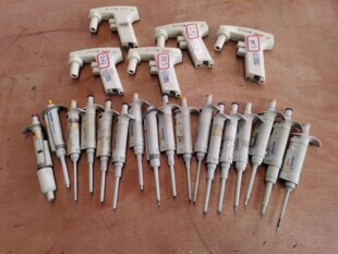 艾本德eppendrof移液枪。分液器。大学淘汰,赛默飞电动