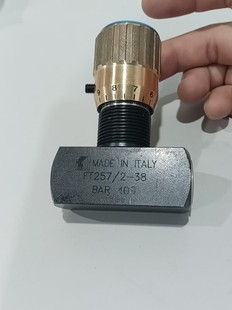 FT257/2-38，意大利MADE IN ITALY进囗双