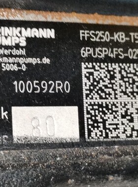 德国布曼brinkmann  6PUSP4FS-025000
