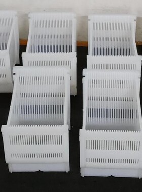 PFA花篮 原装DAINICHI清洗花篮 12寸硅片清洗花篮