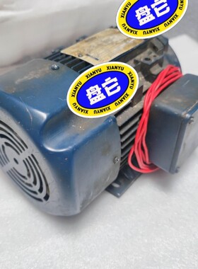 LEESON 电机 马达 YSJ8024 现货 实物图 议价