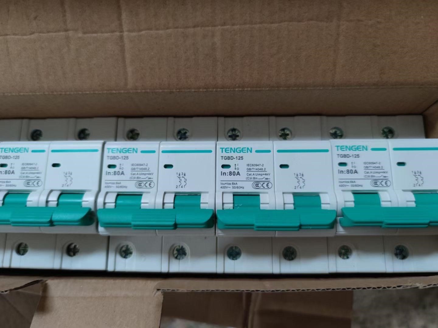 天正电气微断NC TGBD-125 2P80A