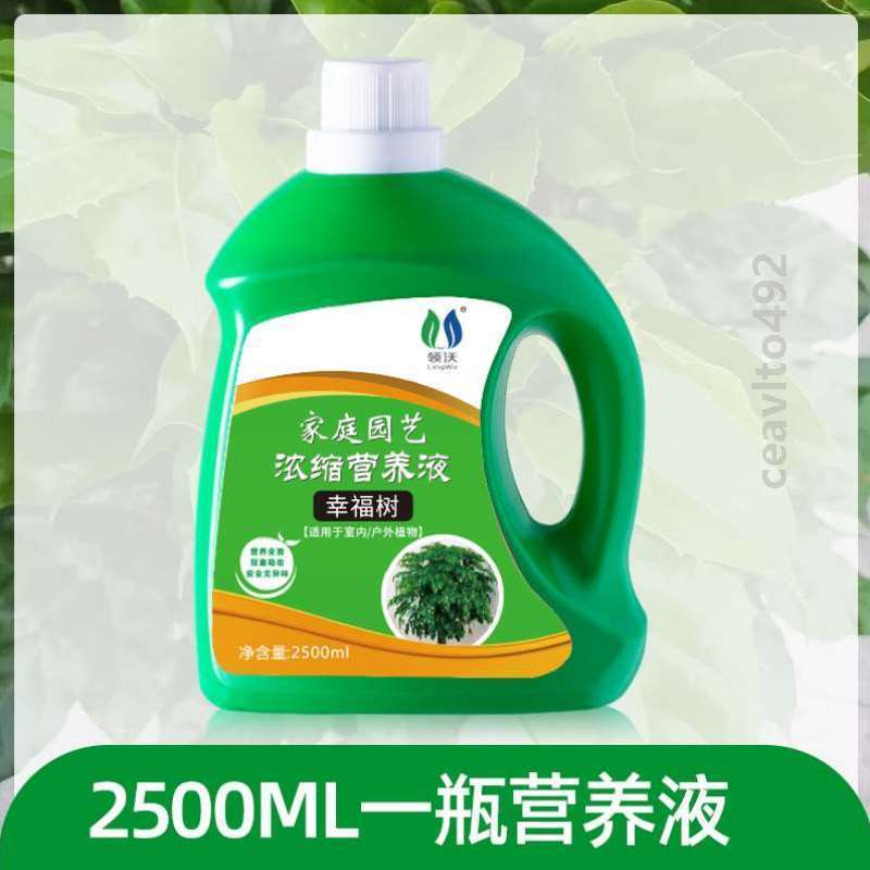 家用绿植花水室内家庭水喷通用铜钱#草盆栽花肥土壤室内营养浓缩