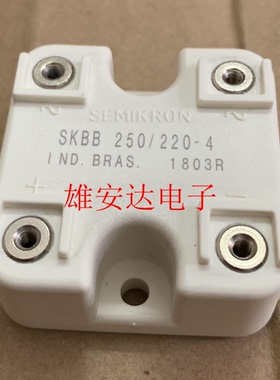 SKBB250/220-4 整流模块 全新原装