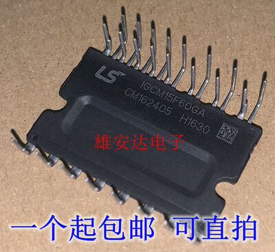 IGCM15F60GAIGCM10F60GA