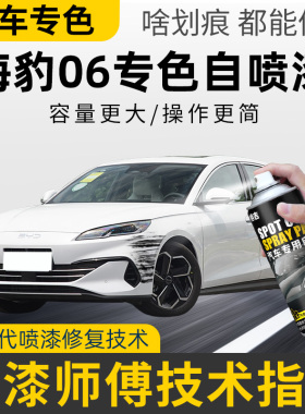 适用比亚迪海豹06dmi补漆笔暖色烟茶海豹06自喷漆补车漆雪域白色