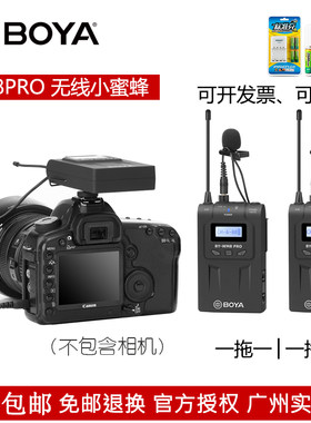 博雅WM8PRO摄像机无线小蜜蜂收音