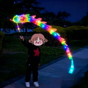 舞龙彩带儿童甩龙健身幼儿园广场发光龙彩条龙空竹龙舞龙表演道具