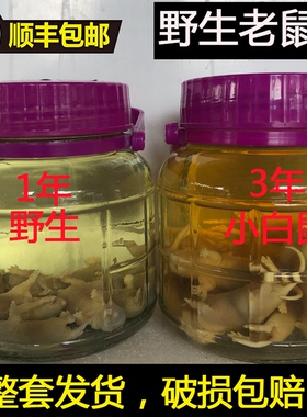 顺丰包邮成品泡好野生灰色红皮老鼠酒小白鼠幼崽仔泡酒2斤装药酒