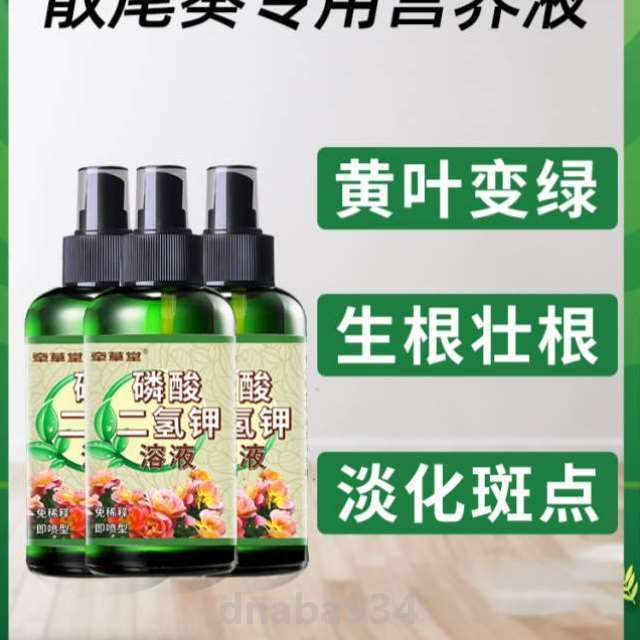 盆栽植物专用凤尾竹黄叶营养液病富贵...