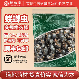 德红堂 蜣螂中药材屎壳郎圣甲虫大将军清水无盐蜣螂虫