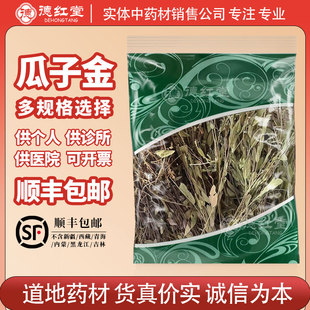 德红堂瓜子金中药材新货别名瓜子草辰砂草金锁匙中草药瓜子金