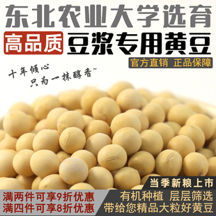 东北农业大学非转基因打豆浆专用豆东农豆252有机黄豆 2025新大豆