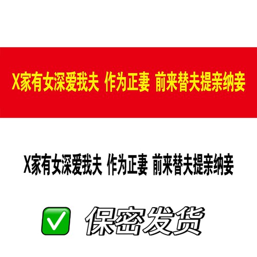 送小三当三横幅条幅定制保密发货