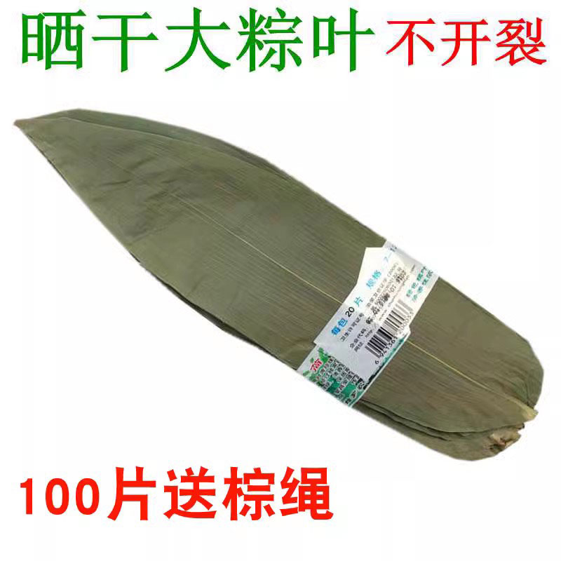 新鲜烘干粽棕叶100片包邮送
