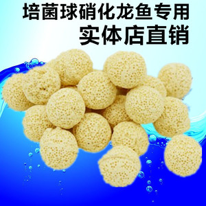 2013细菌球生物球培菌球硝化细菌球龙鱼专用300g