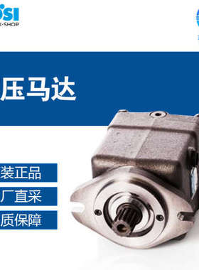 德国 LOESI 液压马达 多型号