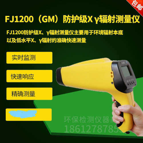 FJ1200(GM)防护级X γ辐射测量仪  X、γ剂量率仪