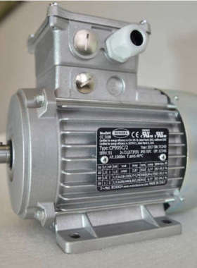 供应意大利BONORA电机  IE2电机 IE3电机