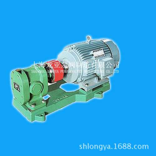 厂家批发KCB960kcb-300齿轮油泵 不锈钢齿轮油泵