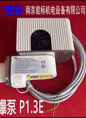 防爆真空泵 P1.3E 德国比勒 BULLER