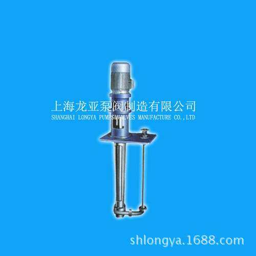 供应50FY-20丁二酮肟聚丙烯液下泵 LGS立式高温液下泵