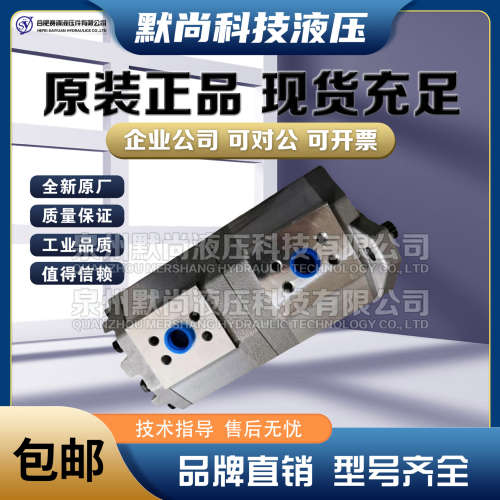 合肥赛源齿轮泵CBQLG-E563/F520-AFHR CBQLQ-E563/F520-AFHR 油泵
