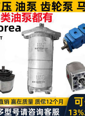 Korea韩国aseda液压油齿轮泵马达SAP10D4R sap sam 10 20 30 0.5