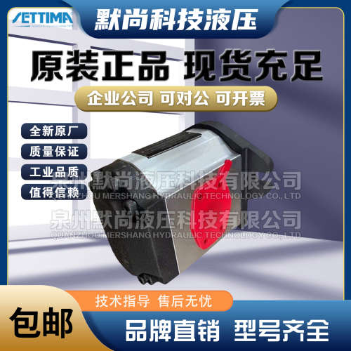 意大利SETTIMA齿轮泵GR55-2C-50/63/75/90-FSAEB AC 液压螺杆泵