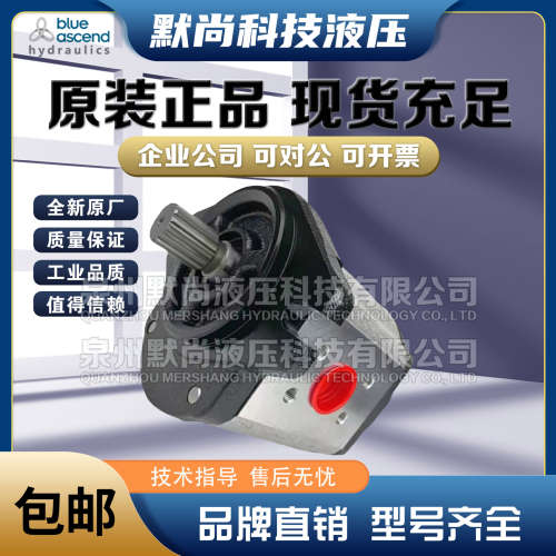 土耳其BLUE ASCEND齿轮泵DPH20.190 DPH20.250 DPH20.280液压油泵