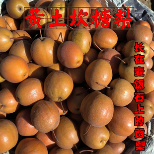 北京密云黄土坎麦饭石正宗糖梨甜梨香甜汁多红棠梨煮梨水无渣