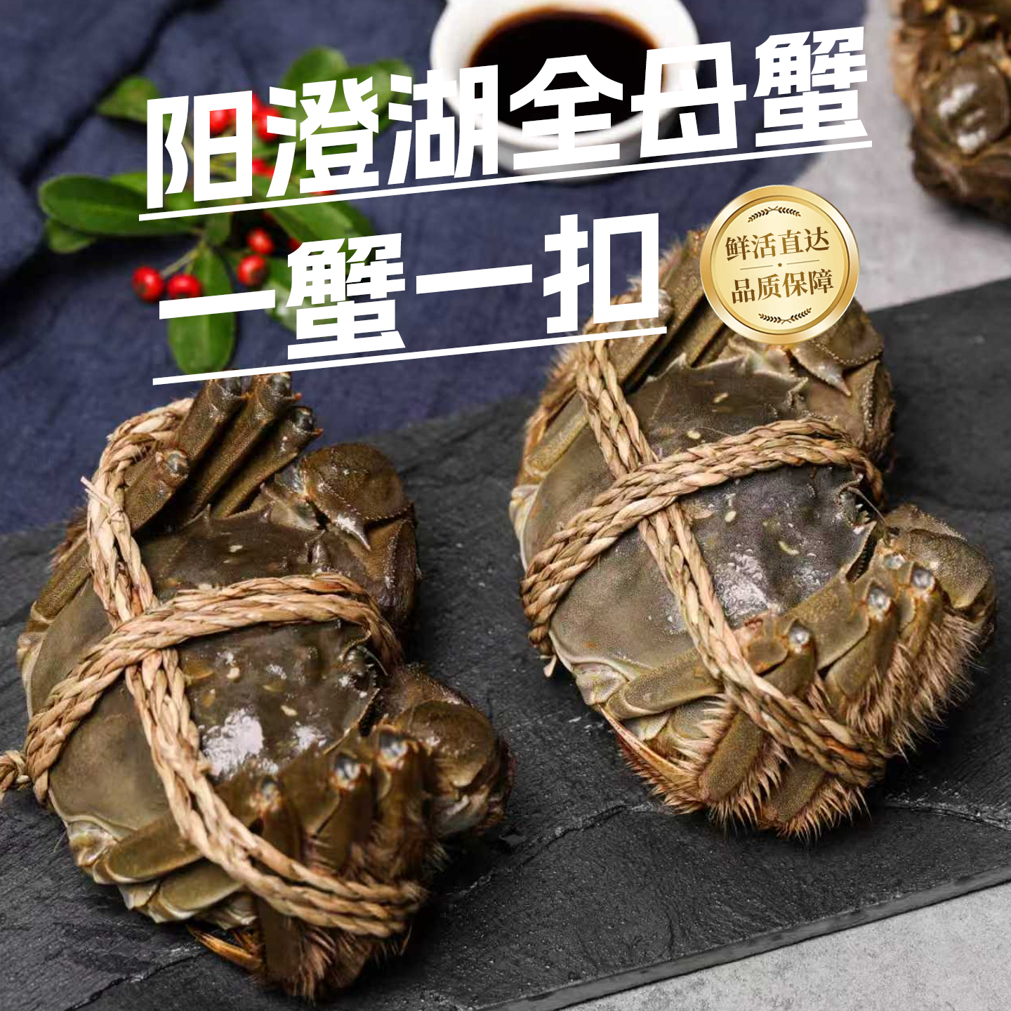 活蟹全母大闸蟹螃蟹鲜活礼盒装