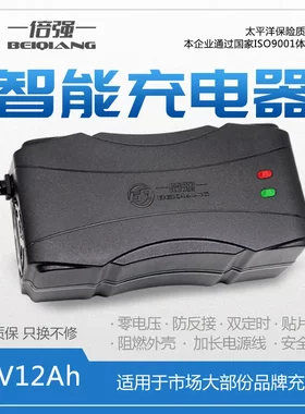 倍强电动车铅酸电池充电器48V12Ah60V20Ah72V20Ah雅迪电池充电器