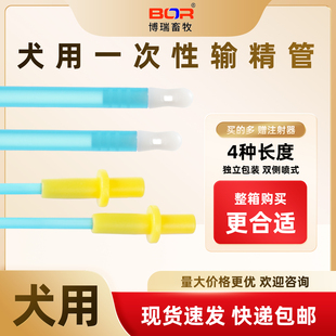 一次性犬用输精管狗狗专用输精针犬输精枪宠物犬输精专用蓝色侧喷
