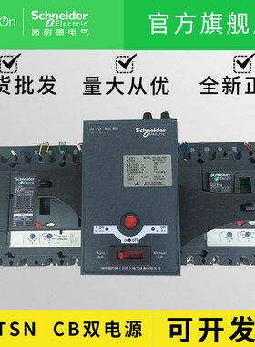 全新正品施耐德万高双电源WATSNA-250/3P CB级 R/NSX自动转换开关