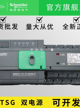 全新正品 施耐德双电源自动转换开关 WATSG-160A/100A/2A 双电源