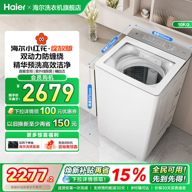 海尔小红花波轮双动力精华洗10kg大容量家用全自动洗衣机73M