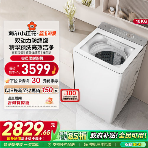 海尔小红花波轮双动力精华洗10kg大容量家用全自动洗衣机73M