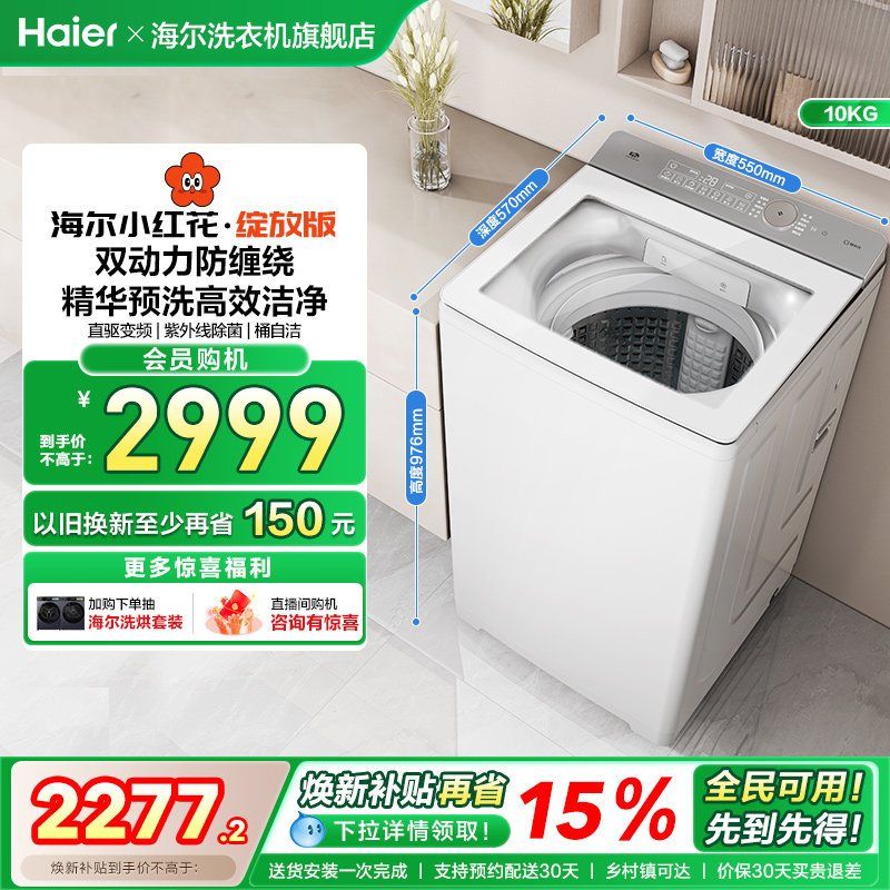 海尔小红花波轮双动力精华洗10kg大容量家用全自动洗衣机73M