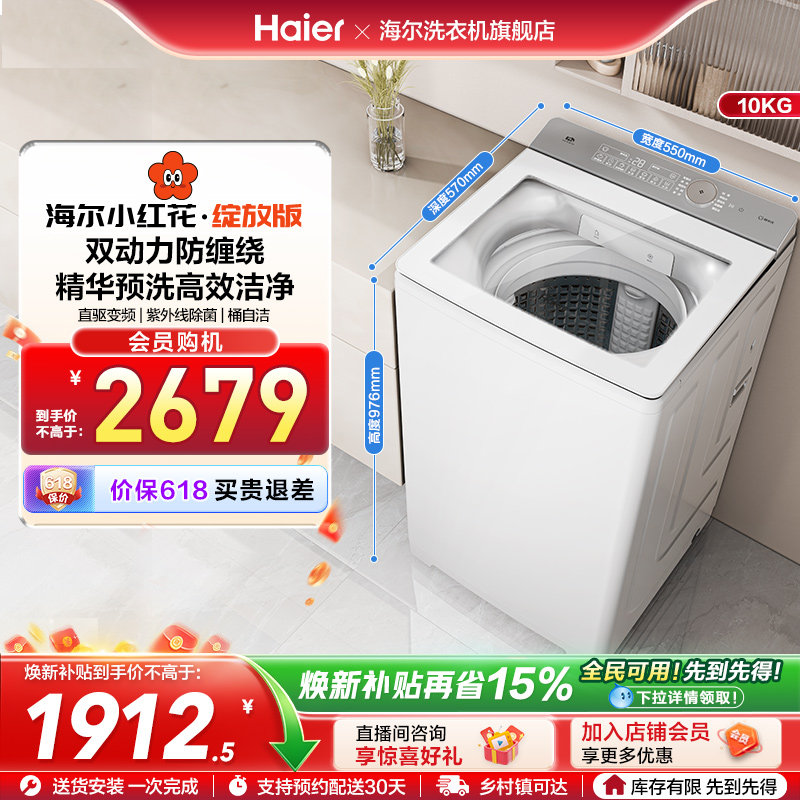 海尔小红花波轮双动力精华洗10kg大容量家用全自动洗衣机73M