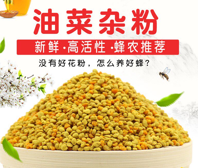 杂花粉喂蜂花粉蜂具高活性