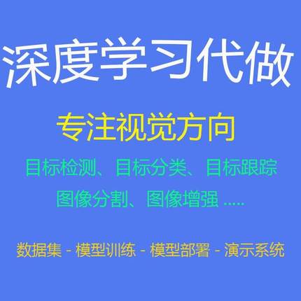 python代做深度学习算法代做目标检测目标跟踪图像分割算法代做
