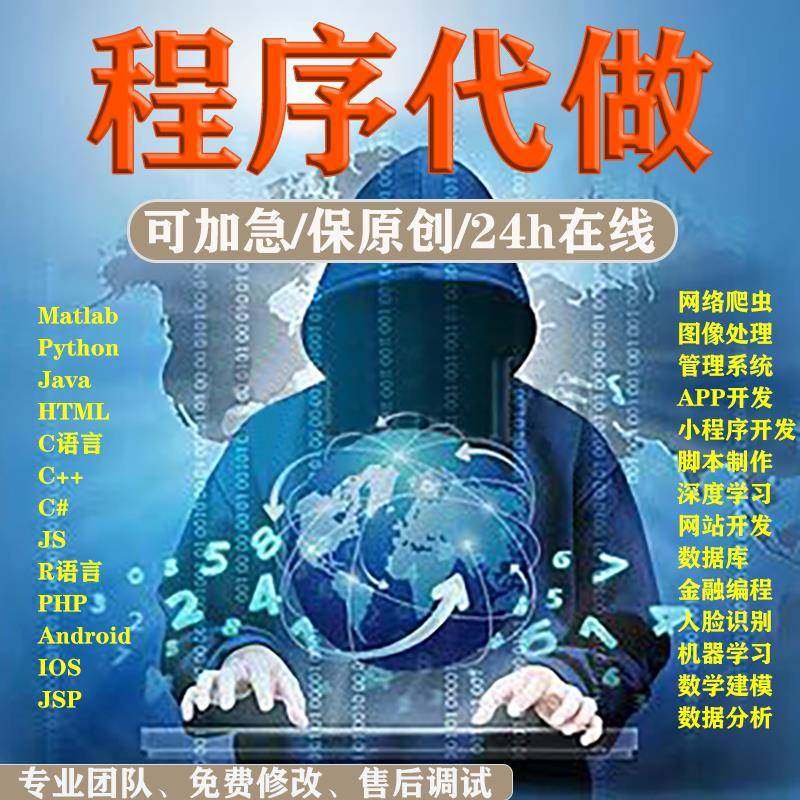 计算机python程序代做qt软件java代码编写c++编程c语言php开发c#