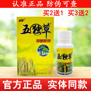 苗锐五独草抑菌喷剂五毒草皮肤外用喷雾正品