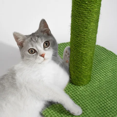 马亚磨爪猫爬架猫抓板宠物猫抓柱款玩具用品剑麻仙人掌逊猫咪挠痒