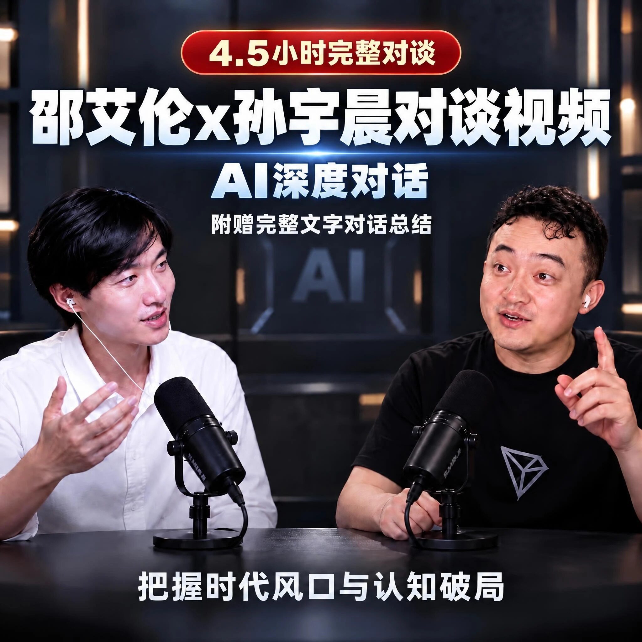 未删节 邵艾伦孙宇晨完整版4.5小时AI对谈视频财富自由风口学习