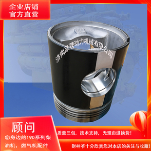 分部件 3000型柴油发动机a12v190pzl 济柴h16v 活塞 601.05.30a
