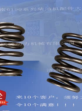 206L.12P济南G6190柴油机喷油泵BHT6P160L 高压油泵柱塞弹簧